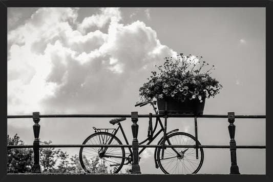 Cuadro Bicicleta y flores en canales Amsterdam