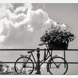Cuadro Bicicleta y flores en canales Amsterdam