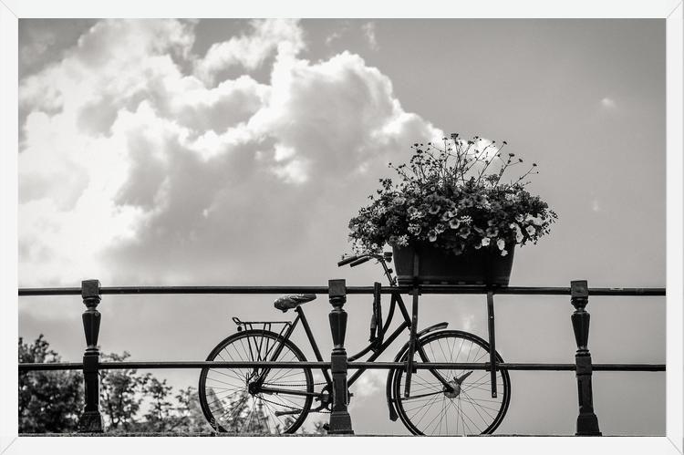 Cuadro Bicicleta y flores en canales Amsterdam