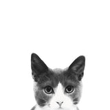 Canvas Watercolor Cat