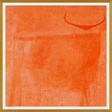 Cuadro Toro Naranja