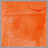 Cuadro Toro Naranja
