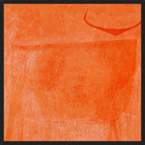 Cuadro Toro Naranja