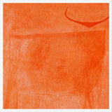 Cuadro Toro Naranja