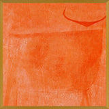 Cuadro Toro Naranja