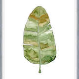 Cuadro Leaf #10