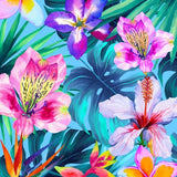 Canvas The Tropical Flowers