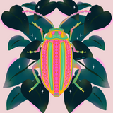Canvas Pink Bug