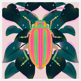 Cuadro Pink Bug