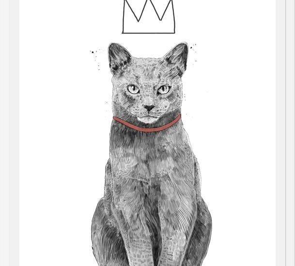 Cuadro King of everything