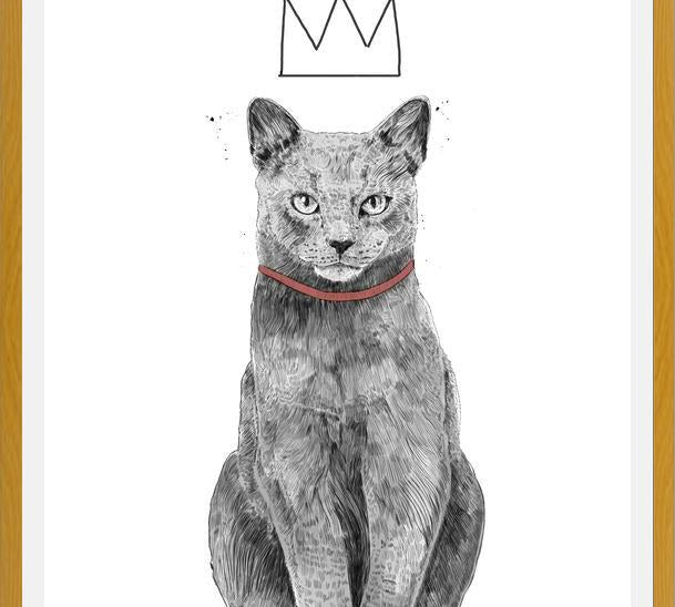 Cuadro King of everything