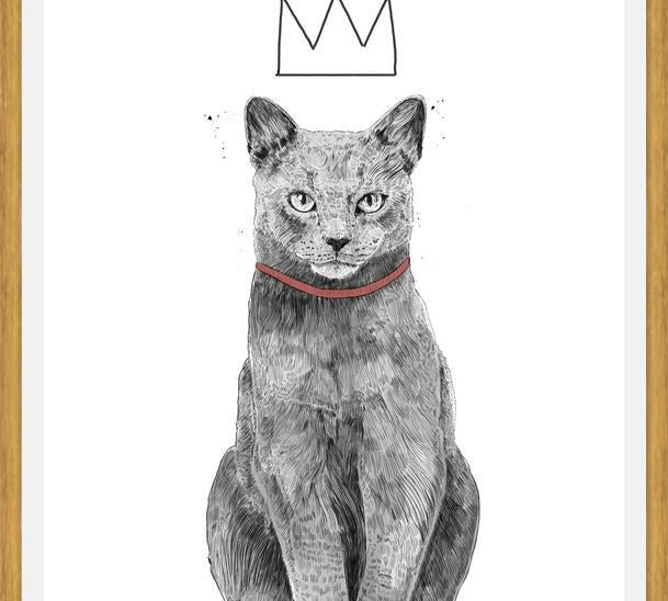 Cuadro King of everything