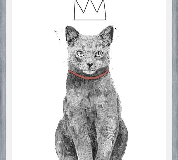 Cuadro King of everything