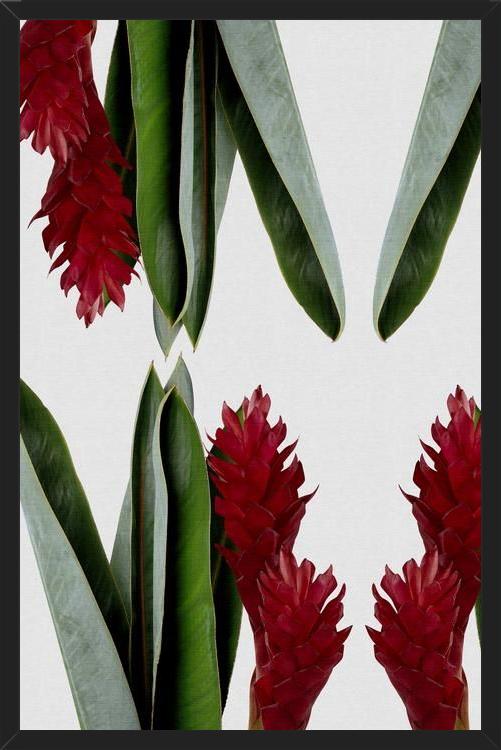 Cuadro Red Flower