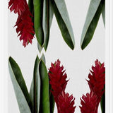 Cuadro Red Flower