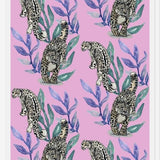 Cuadro Snow leopard