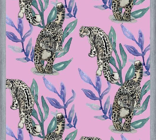 Cuadro Snow leopard