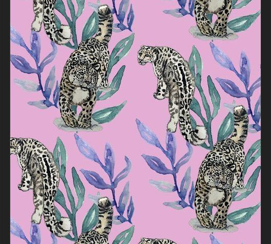 Cuadro Snow leopard
