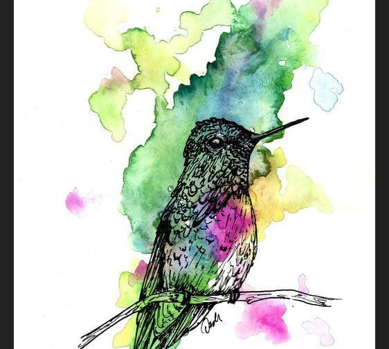 Cuadro Colibri 1