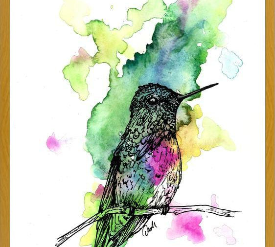 Cuadro Colibri 1