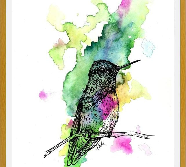 Cuadro Colibri 1