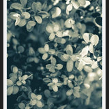 Cuadro Hojas - Soft Green