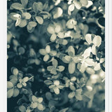 Cuadro Hojas - Soft Green