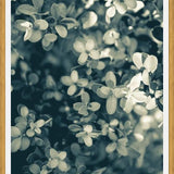 Cuadro Hojas - Soft Green