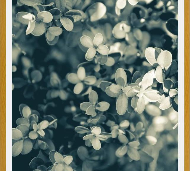 Cuadro Hojas - Soft Green