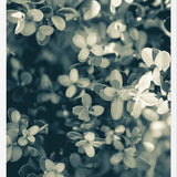 Cuadro Hojas - Soft Green