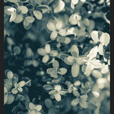 Cuadro Hojas - Soft Green