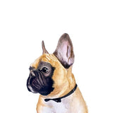 Canvas Retrato Lucho