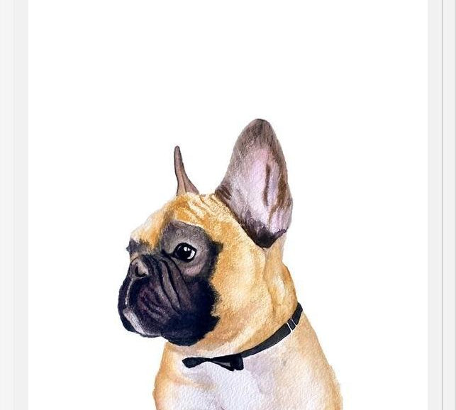 Cuadro Retrato Lucho