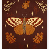 Cuadro Vintage Butterfly
