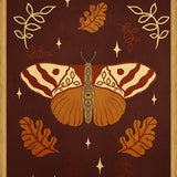 Cuadro Vintage Butterfly