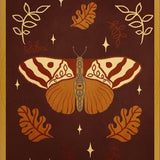 Cuadro Vintage Butterfly