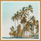 Cuadro Island Life III