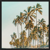 Cuadro Island Life III