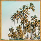 Cuadro Island Life III