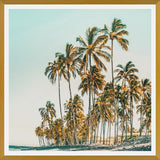 Cuadro Island Life III