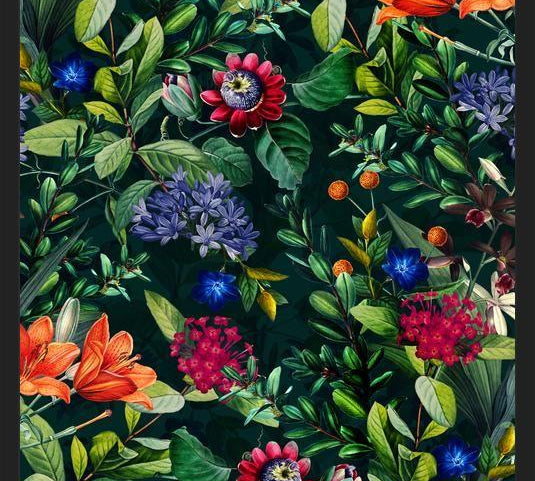 Cuadro Dark Garden VI