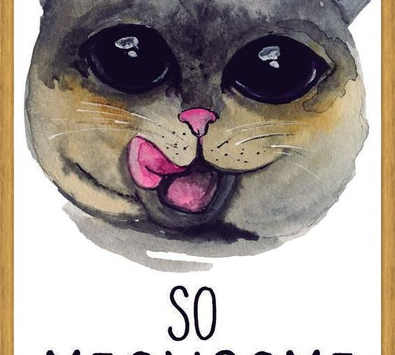 Cuadro meowsome