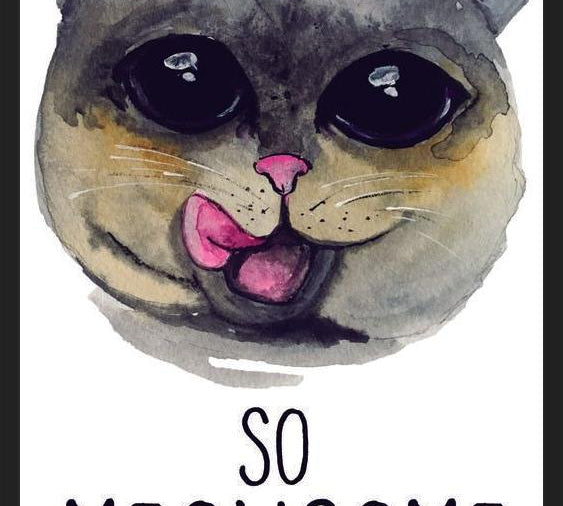 Cuadro meowsome