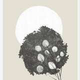 Cuadro Japandi Botanicals 1