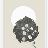 Cuadro Japandi Botanicals 1