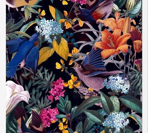 Cuadro The Land of Birds