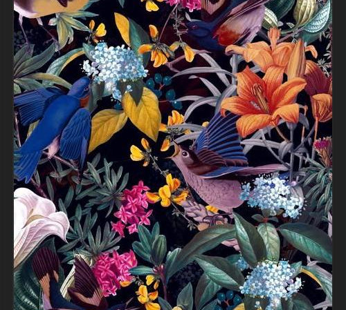 Cuadro The Land of Birds