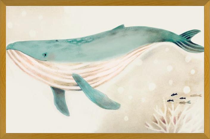 Cuadro Ballena