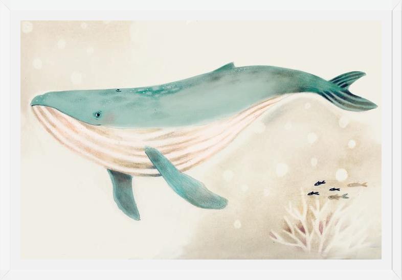 Cuadro Ballena