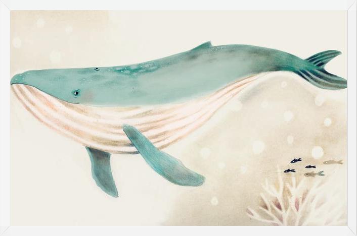 Cuadro Ballena
